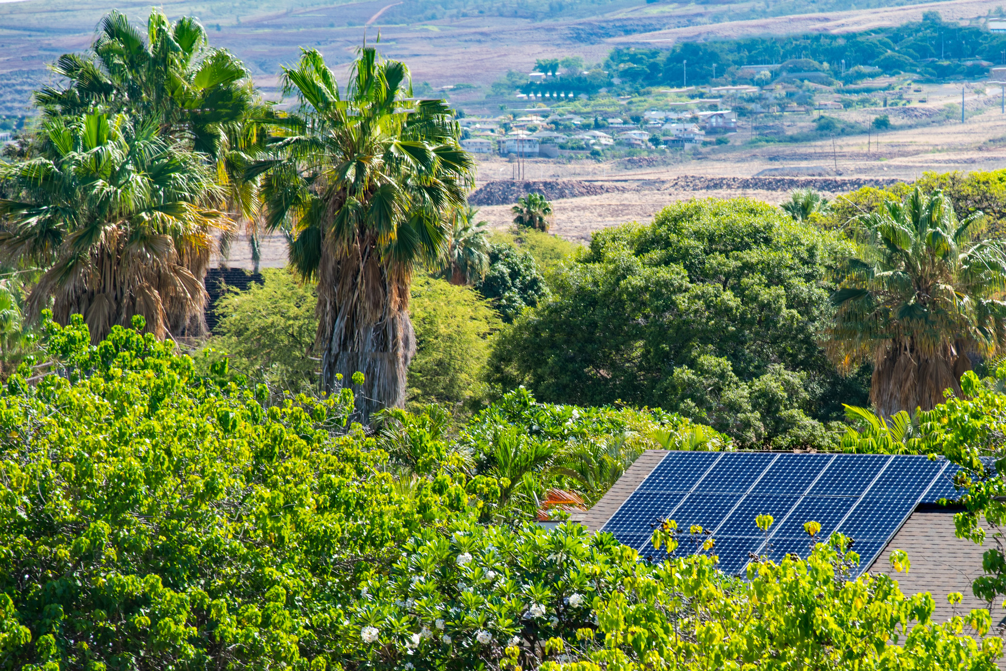 Solar panels on roof sunny day tropical green